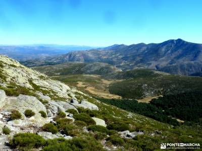 Torozo-Sierra de Gredos-Cinco Villas; 